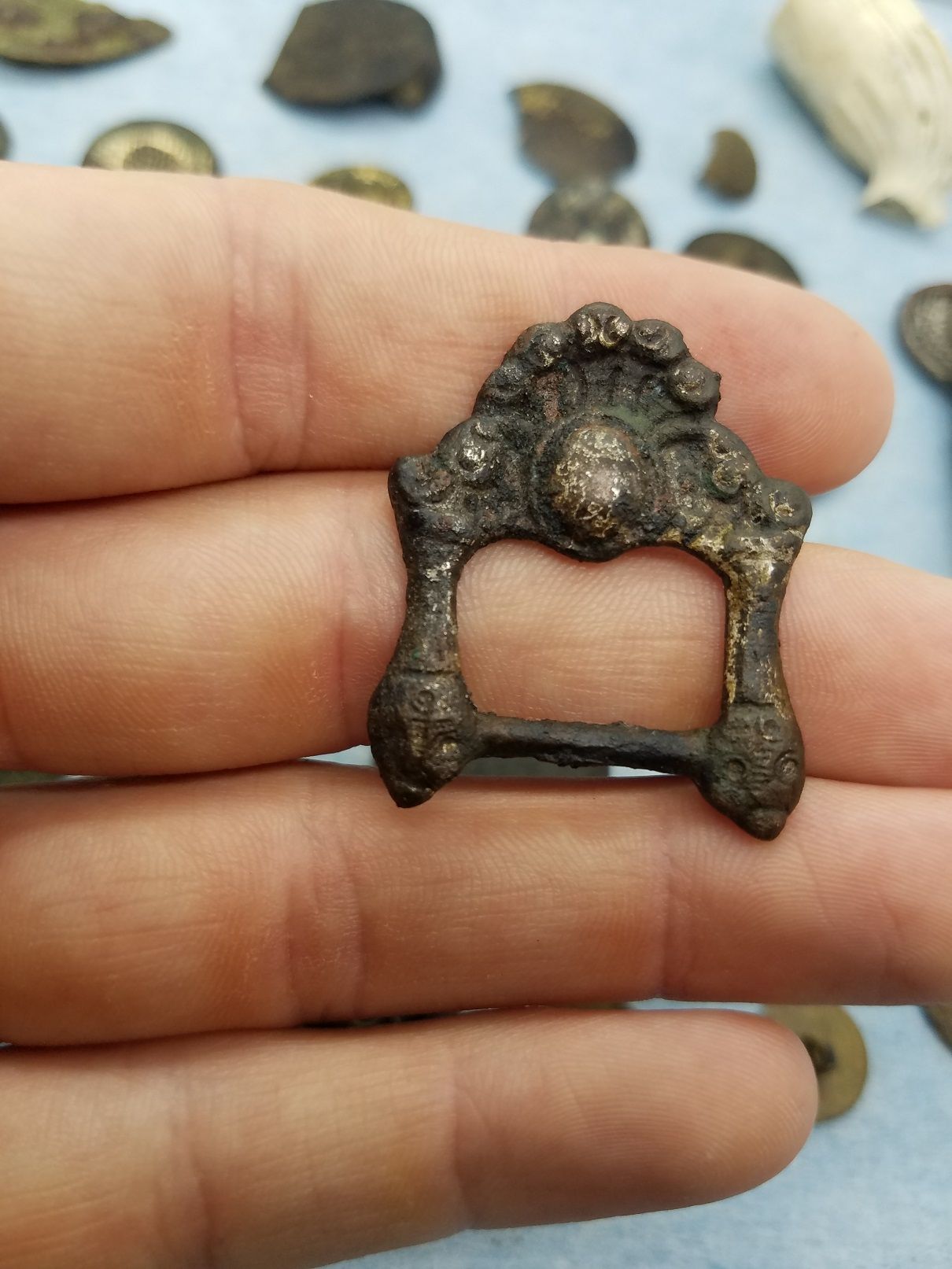 1500-1650 buckle