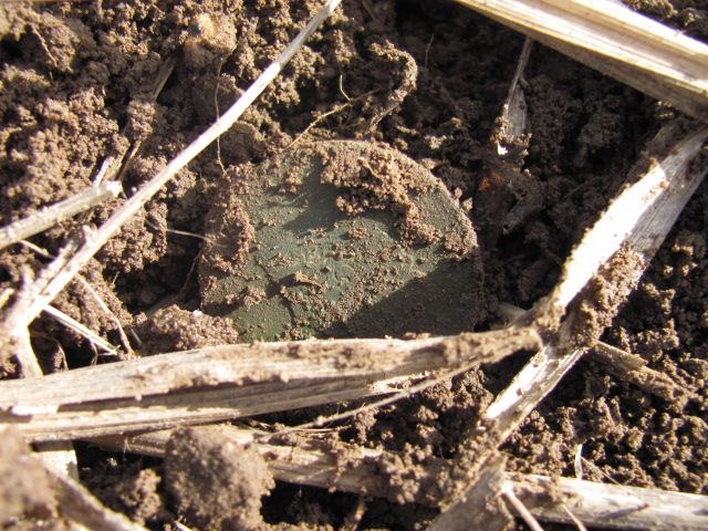 1816 Matron Head large cent coming up to see the light. 3/17/13