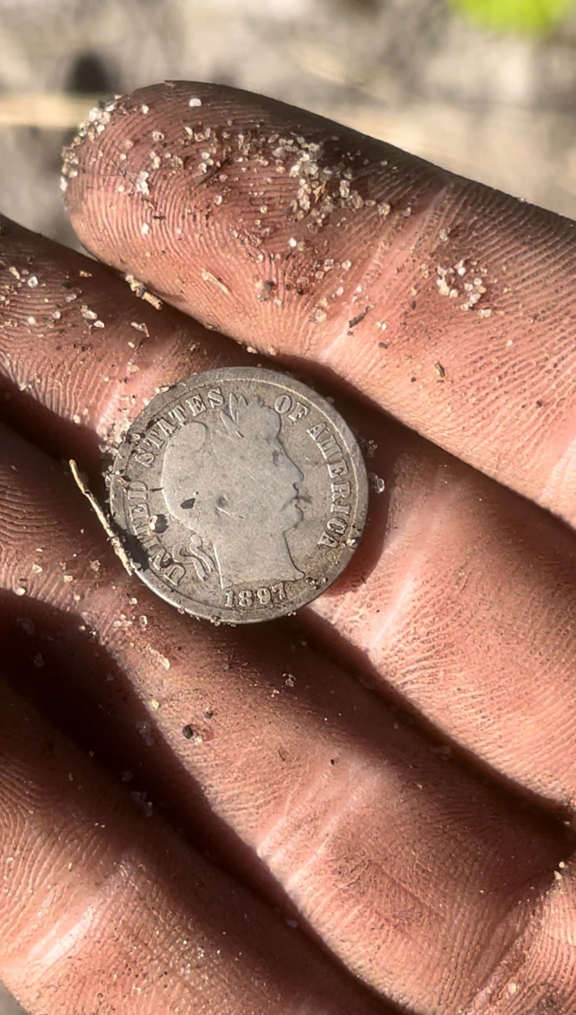 1897 barber dime found in central Florida.