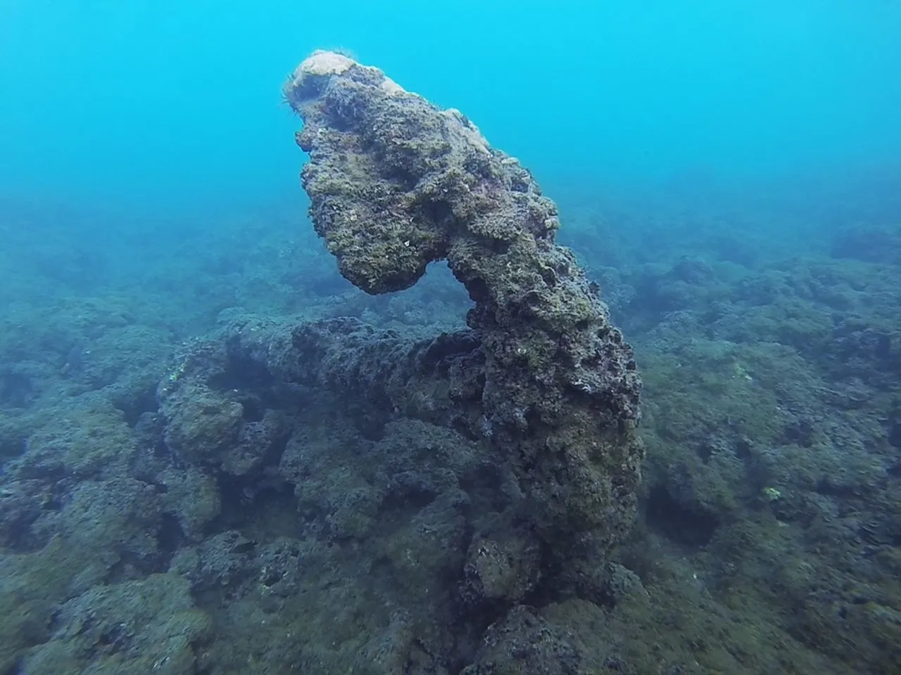 1st anchor i found