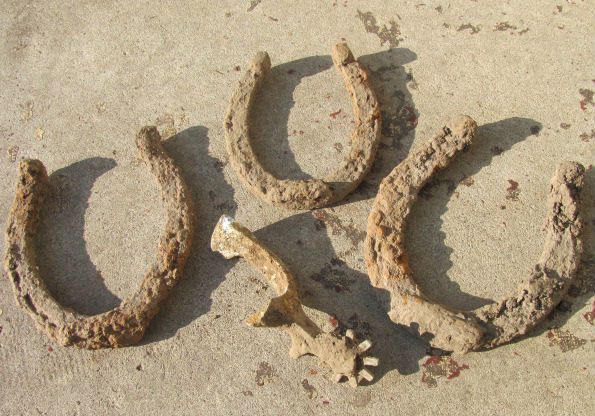 3 horse shoes and a spur in upstate NY! April 2013