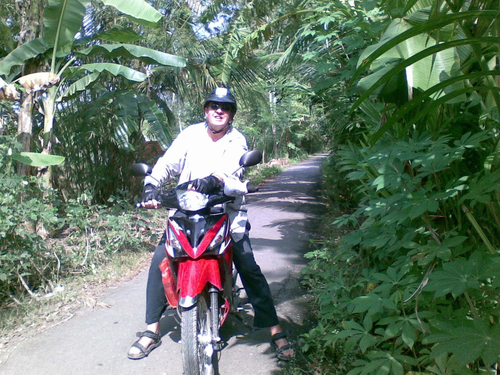 A country road. Mekong Delta.