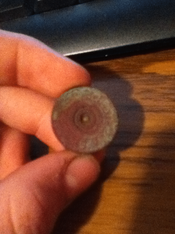 A Winchester Repeater 12 gauge shotgun bullet