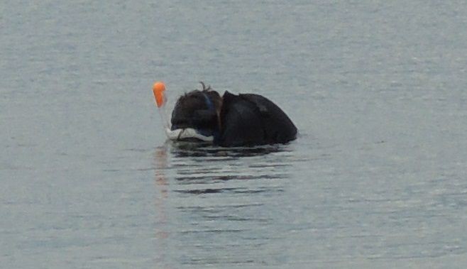 APR 27TH - HUNTING ON CAPE COD