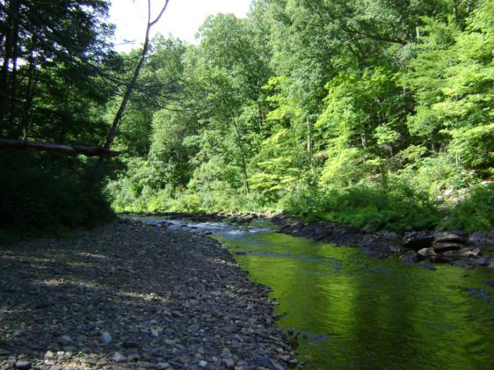 Back Creek - Back creek in Bath county Va.