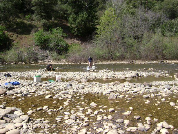 Bear River - Off Placer Hill Rd. Colfax