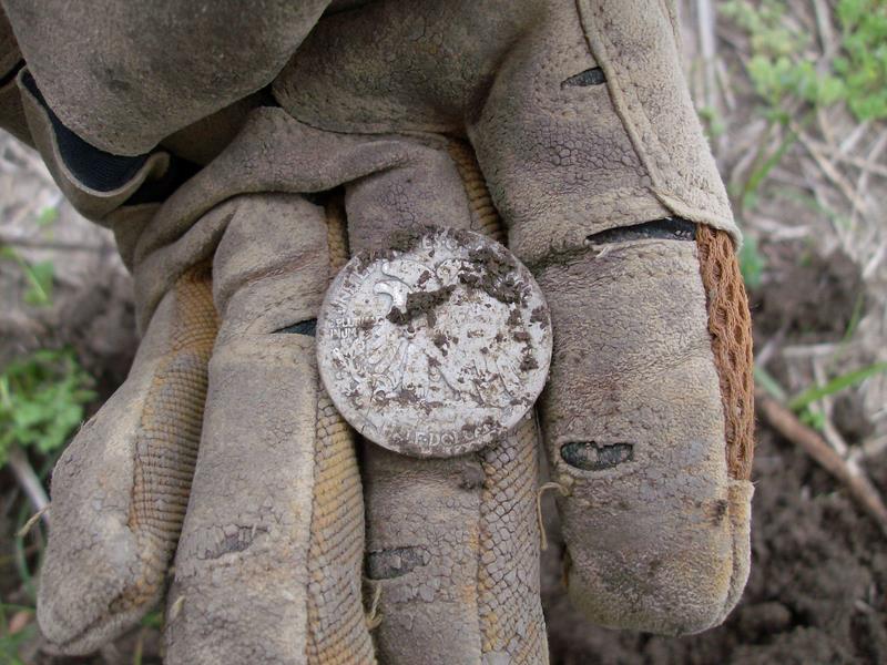 BIG silver from the cane fields!