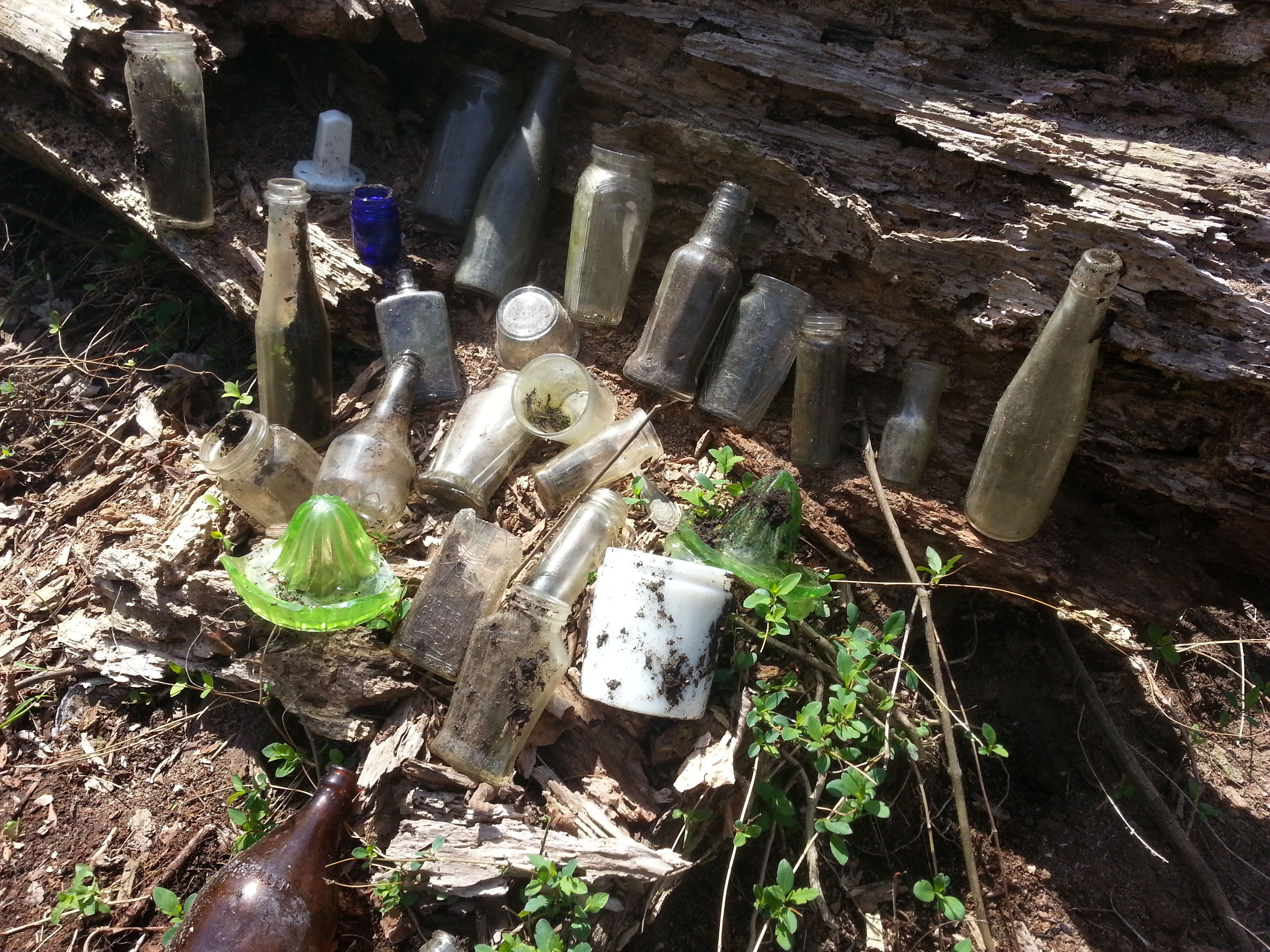 bottle hunting 3