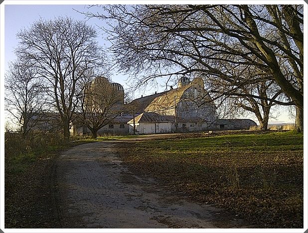 Brooklyn Farm