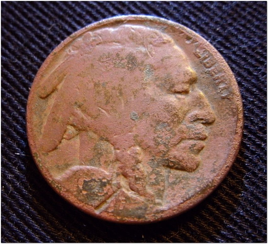 buffalo nickel - 1st this year