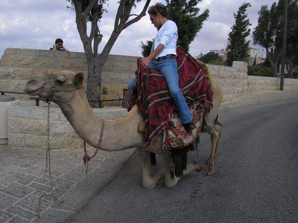 Camel walk - Doin the camel walk in Jerusalem