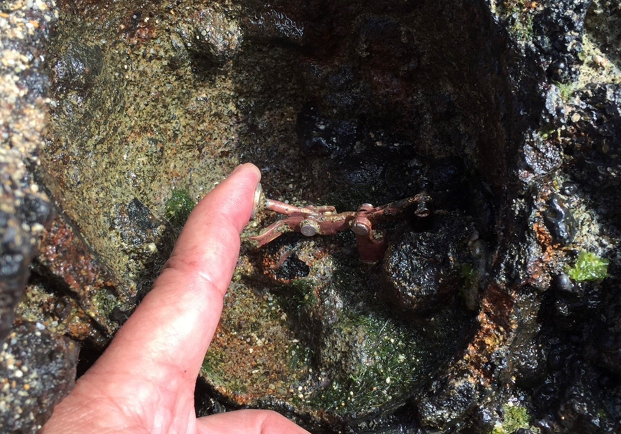 Centuries old Chronometer, entombed in Lava.