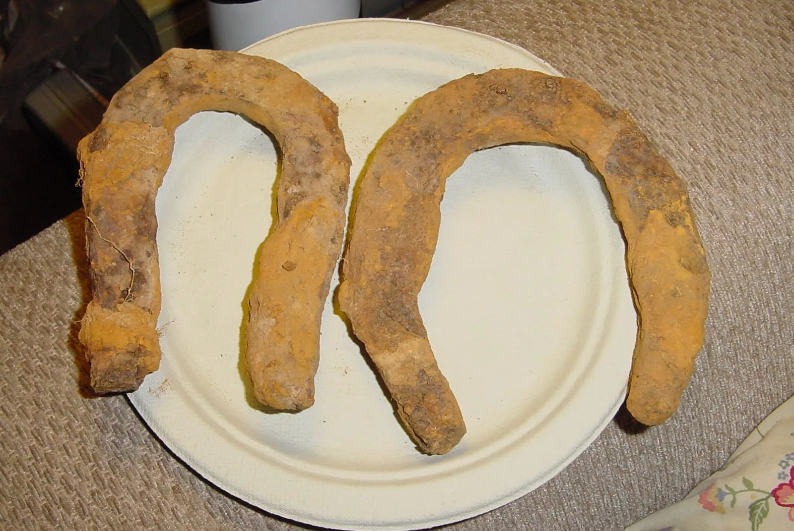 CW CAMP HORSE SHOES