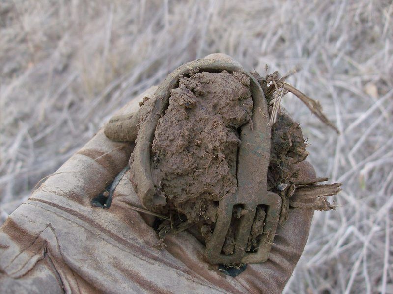 CW Spur from a plowed field.