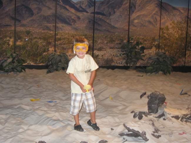 Diggin Bones - My little dude digging his first Dino (Houston Museum)