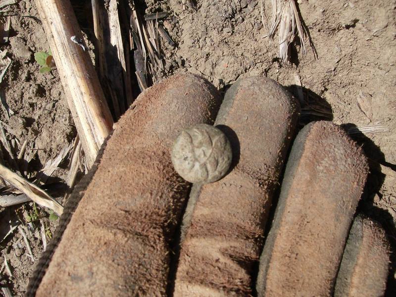 Eagle Artillery Cuff Button, found on top of a cane row where it had washed out of the dirt.