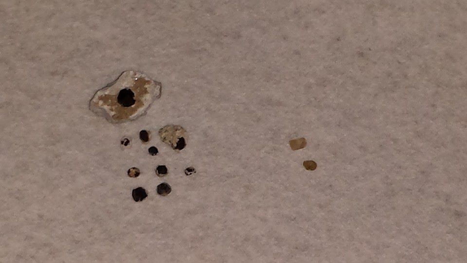 Garnets (left) and Topaz (right) from Ruby Mtn in Chaffee county. Very cool to be able to find birthstones for my whole family in one spot (Topaz for 