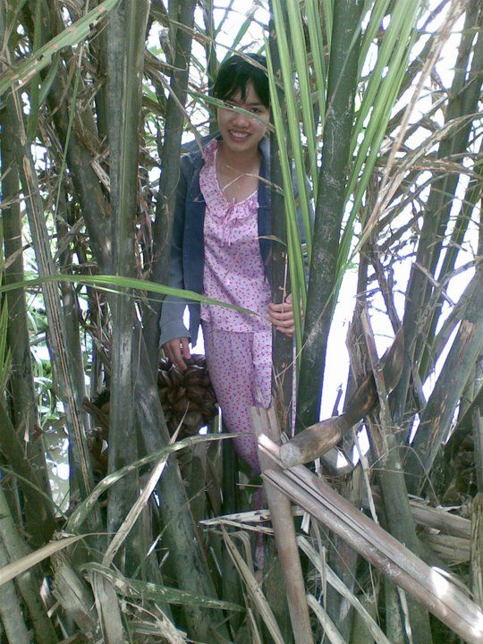 girl in the mekong delta harvesting palm nuts