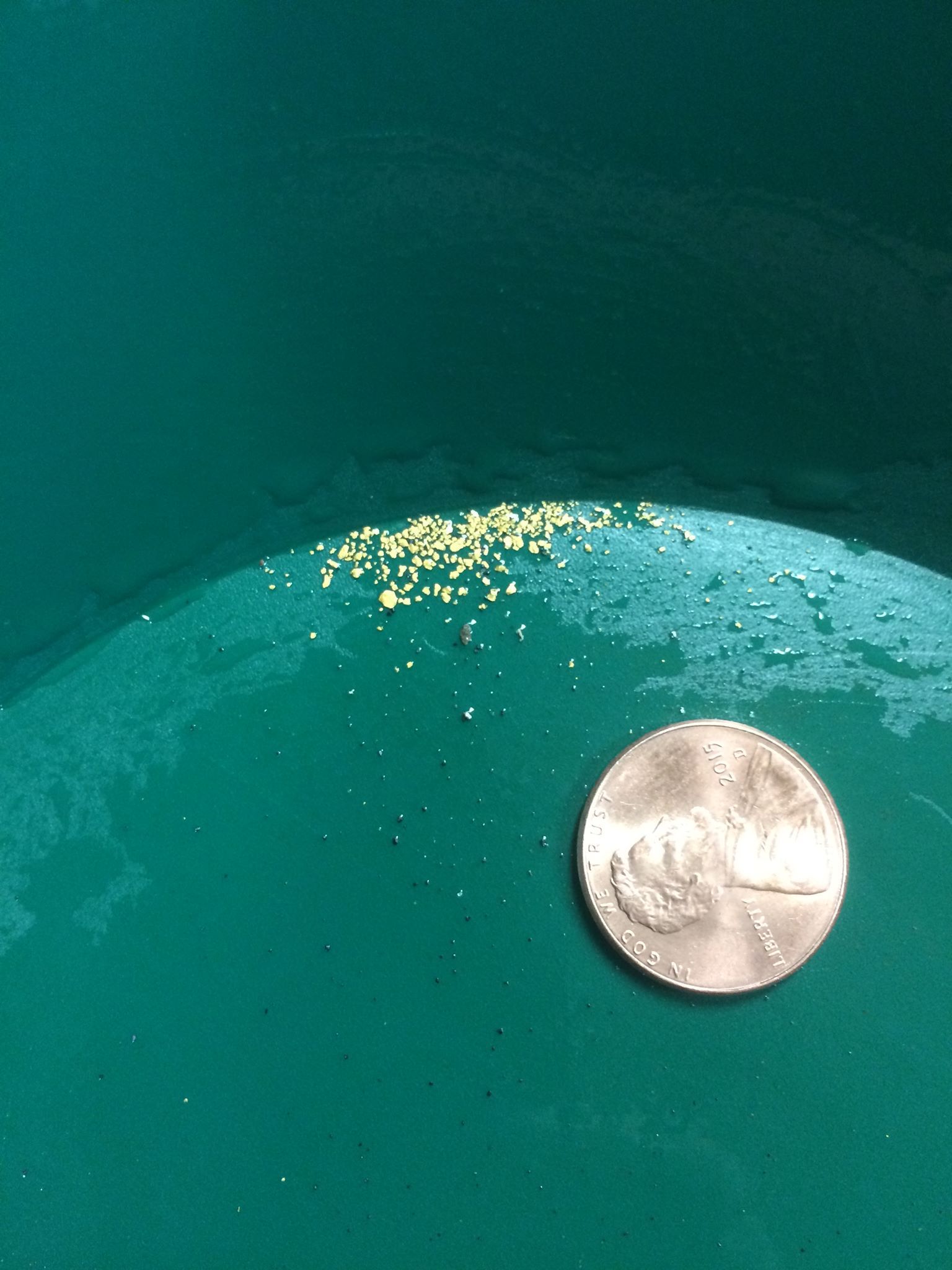 Gold found on Arapaho Bar