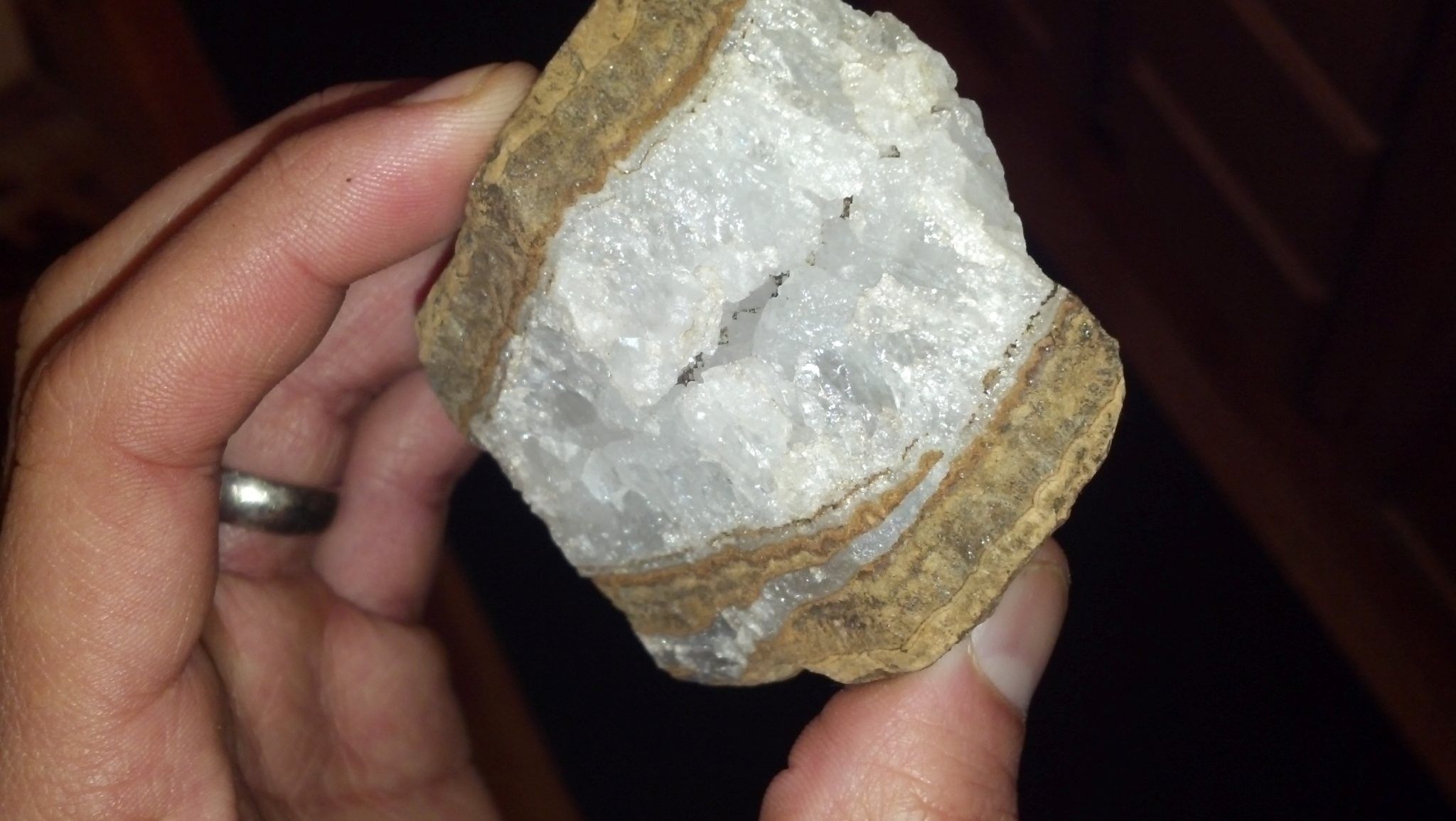 I call this guy "Chompy" or "Chatter Box". Found laying on the ground while Metal Detecting around Tiger Mountain area of WA.