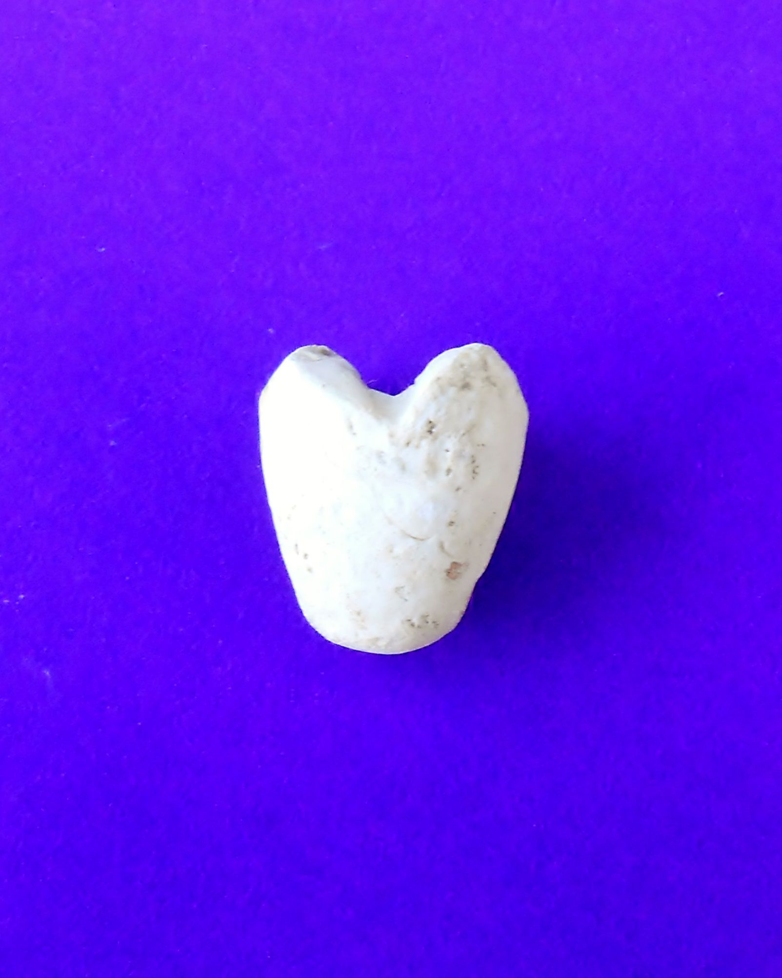 I dug this .58 cal. bullet carved into a tooth at a U.S. camp in late Sept. 2015. The funny thing is tat I dug it on a friday after I had a root canal