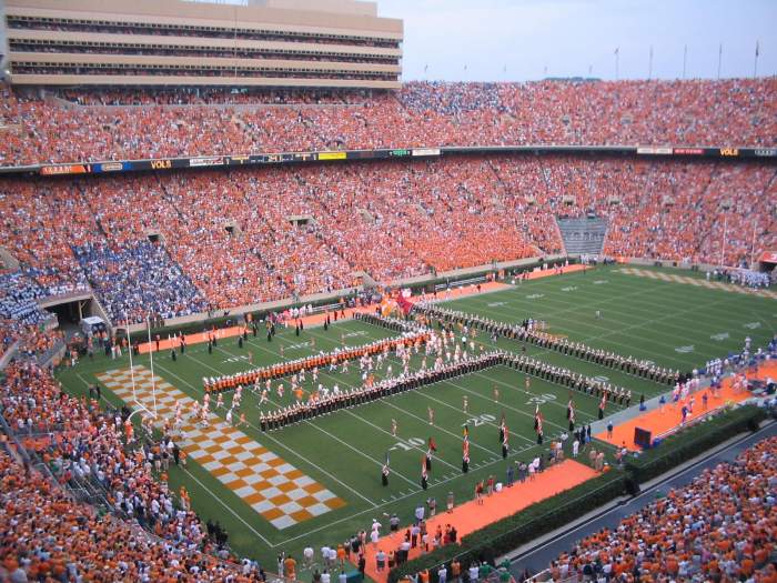 It's Football Time in Tennessee! - Nuff said! | TreasureNet   The