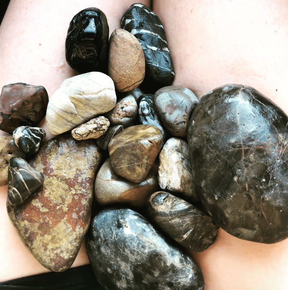 Jasper and other rocks found in the Coromandel