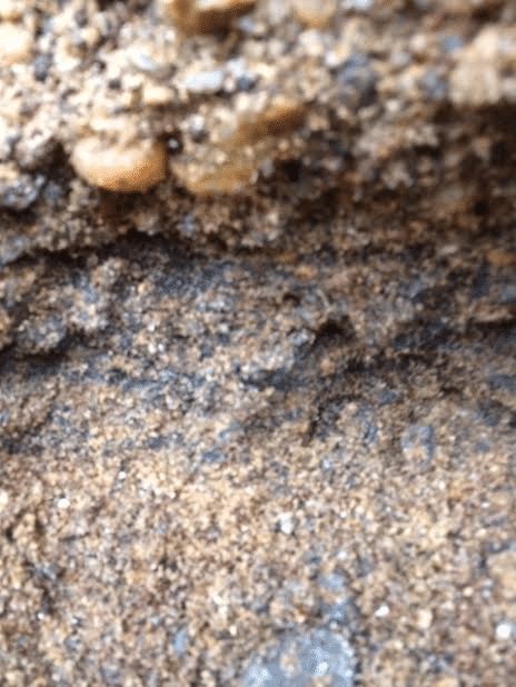 Layer of black sands in creek bank