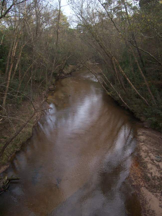 Local Creek  - My local "Peach Creek" stomping grounds