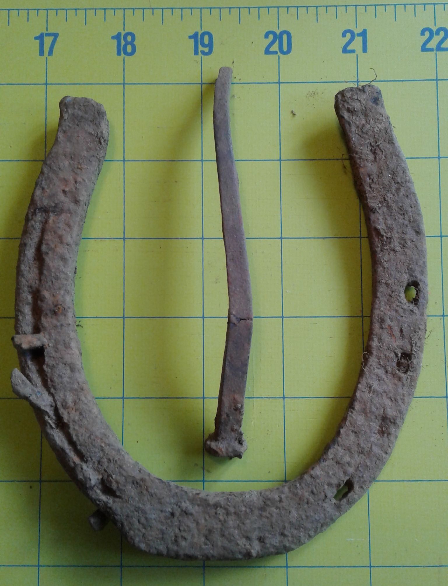 Lucky Horseshoe and large square nail