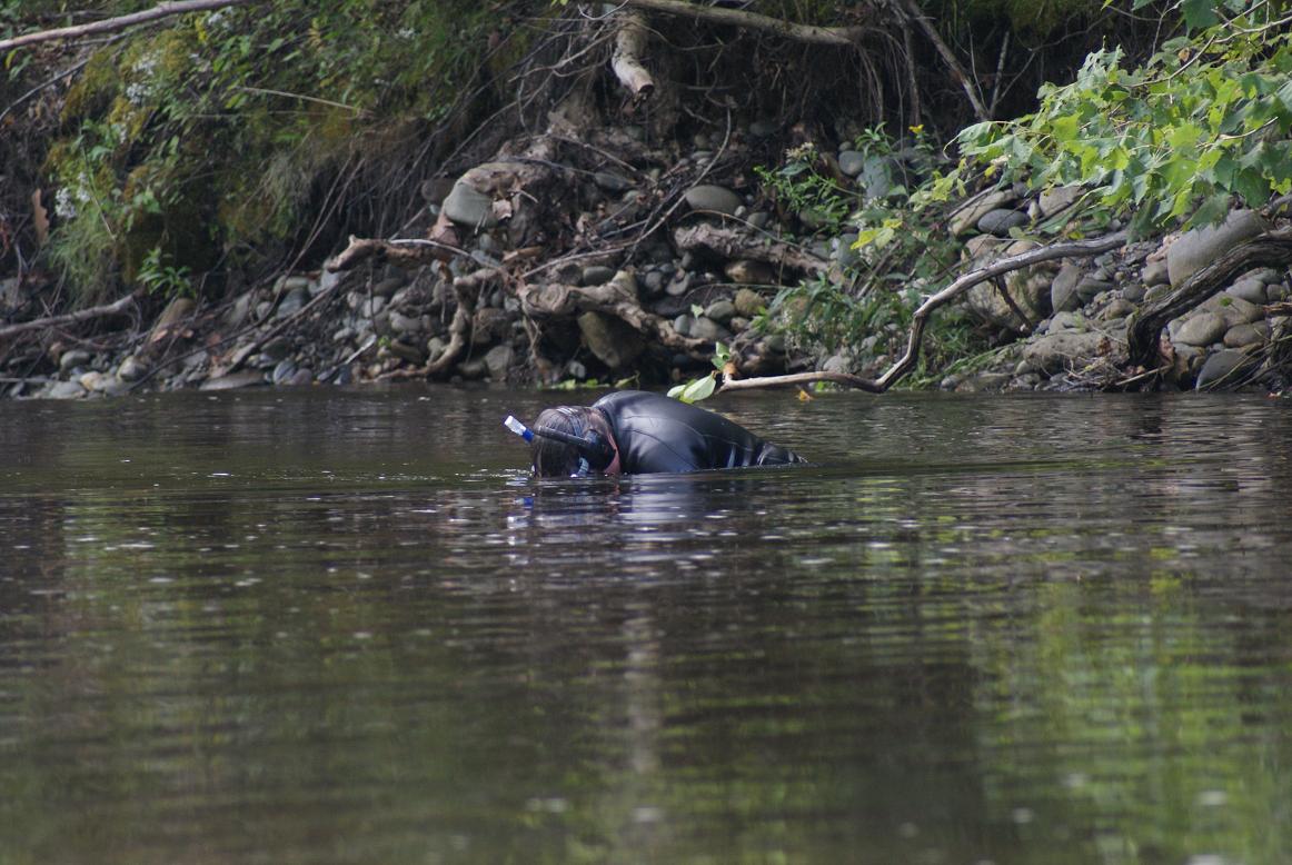 ME RIVER HUNTING