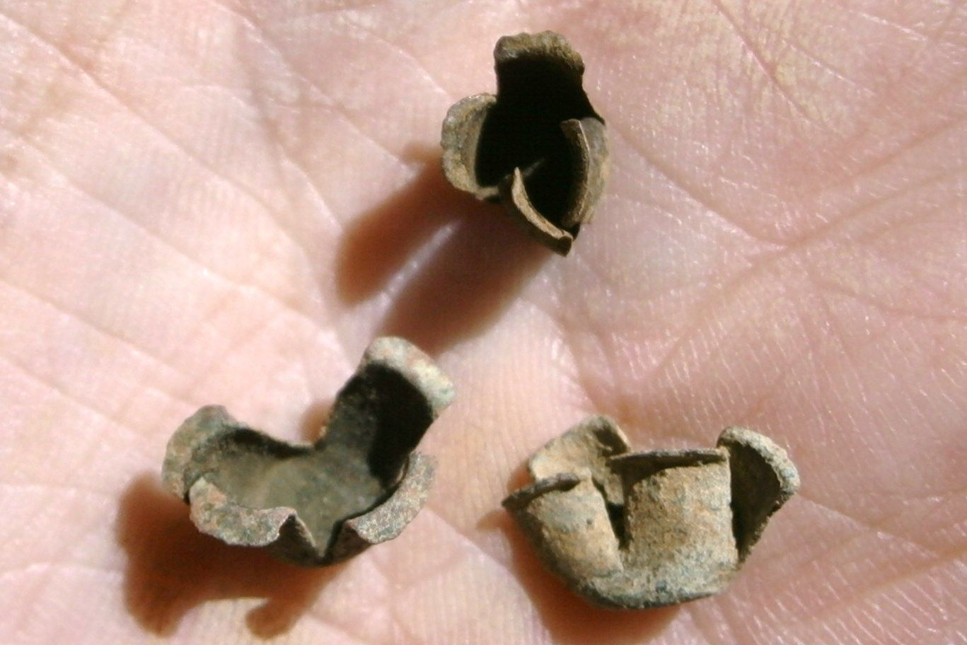 metal caps found 1972 in VA union camp