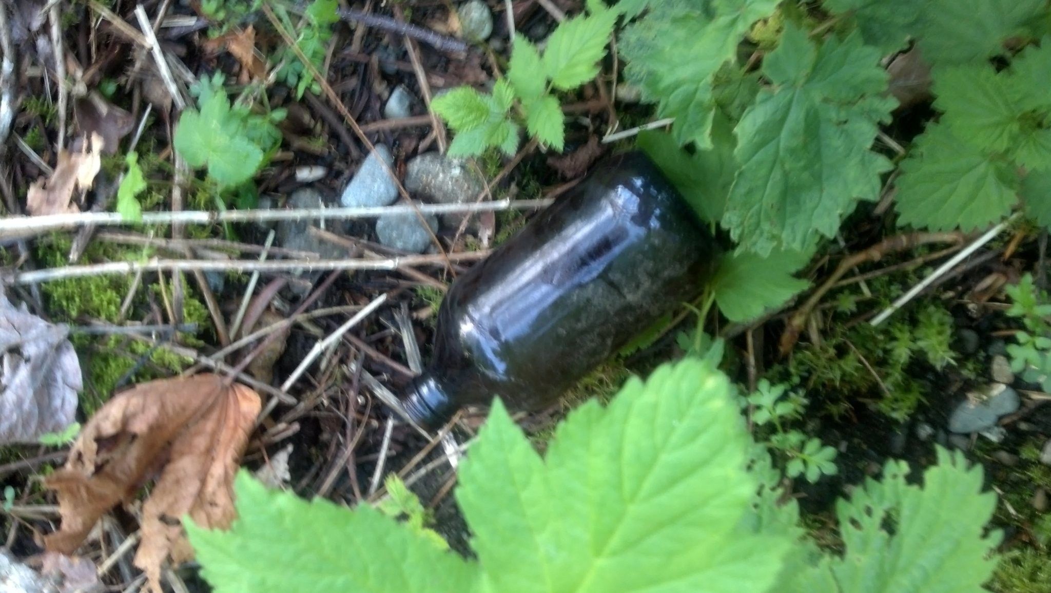 Metal Detecting some old mining areas, and literally kicked this old beer bottle with my boot as I was traversing thru the brush.