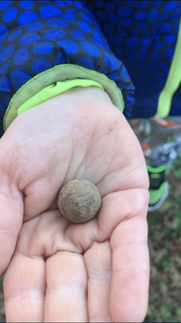 My son's first find. Good job buddy! .69 cal round ball