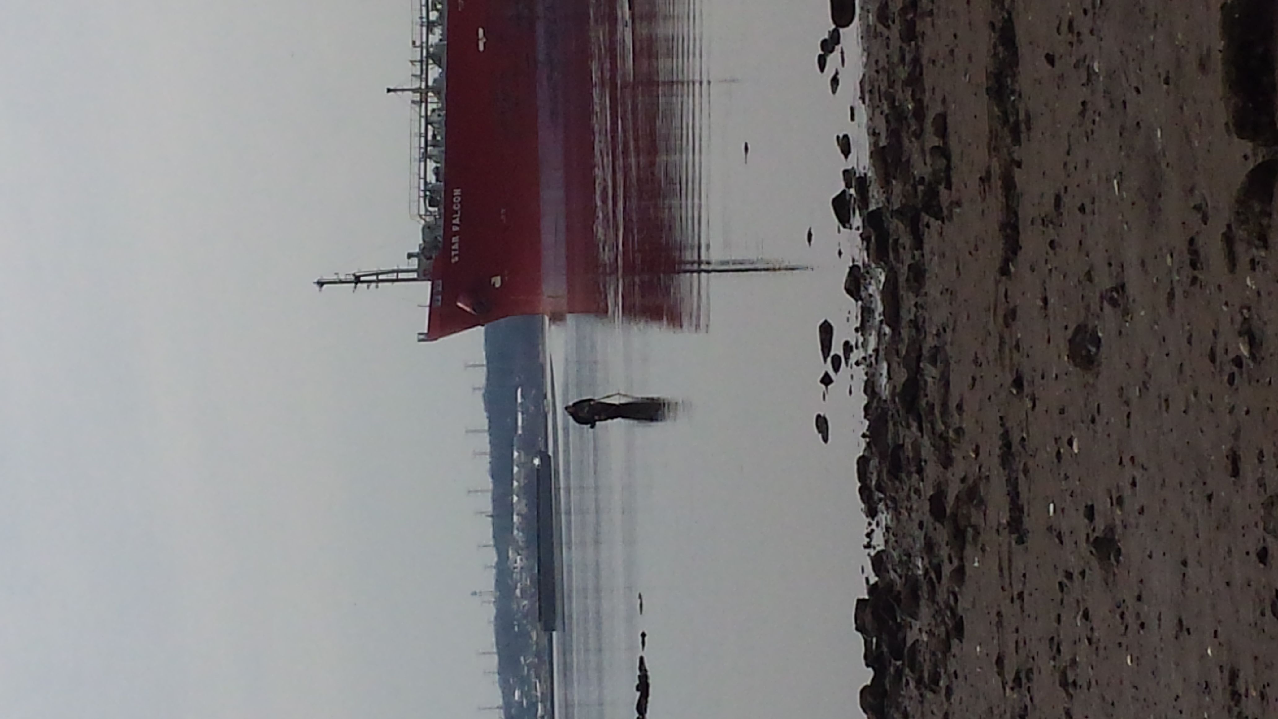 No idea how to rotate this picture. The channel is only about 600 ft away from where I am standing at low tide.