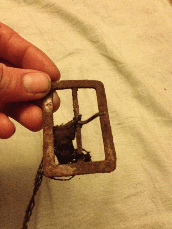 Old buckle