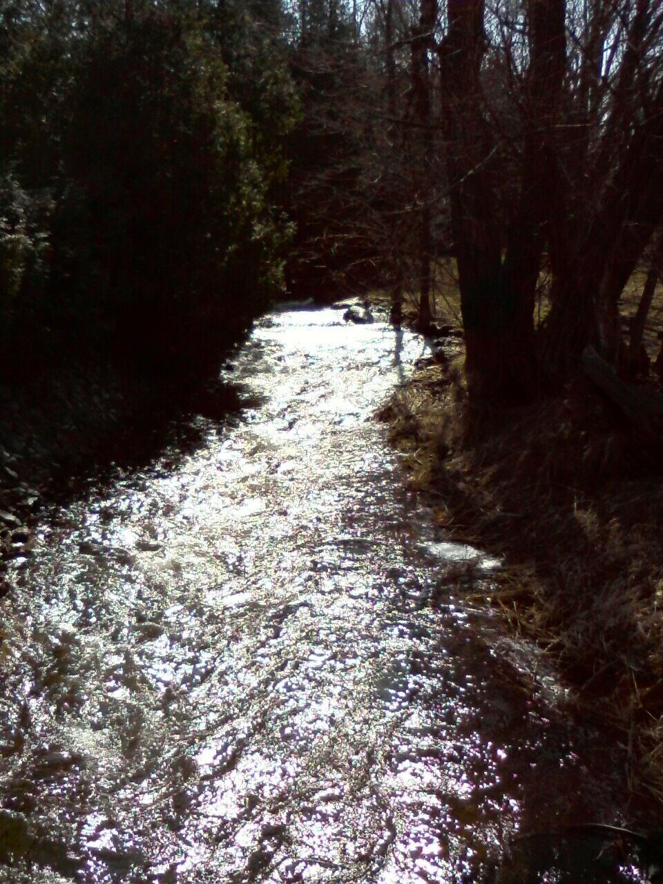 Oxenden Creek.