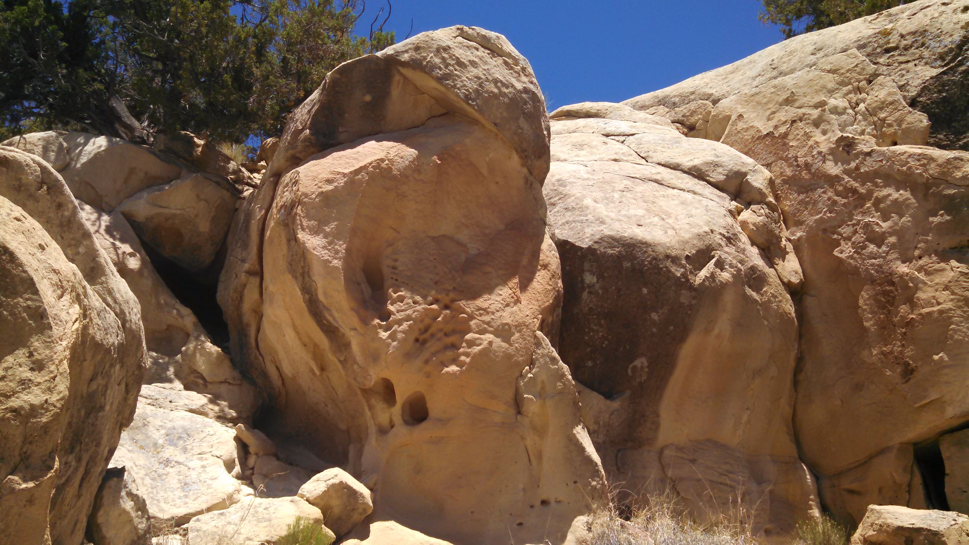 parrot horse cave 10º N of hart cave