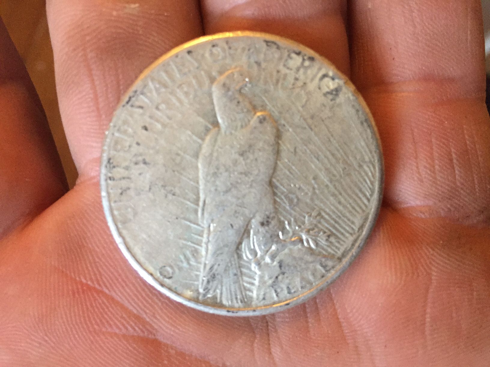 Peace Dollar