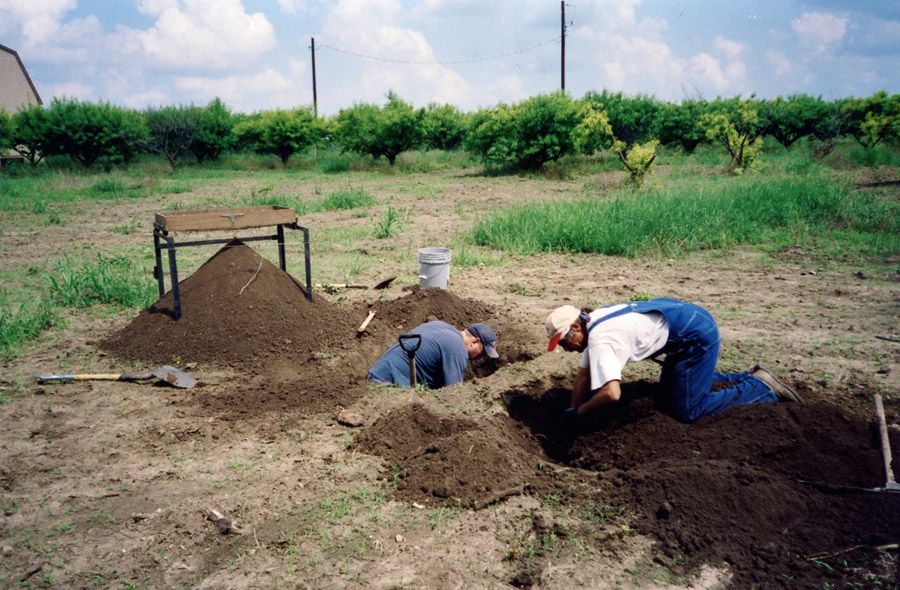 Peach orchard artifact dig