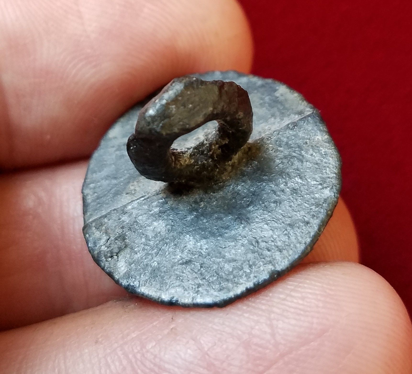 Pewter coat button dug from a creek