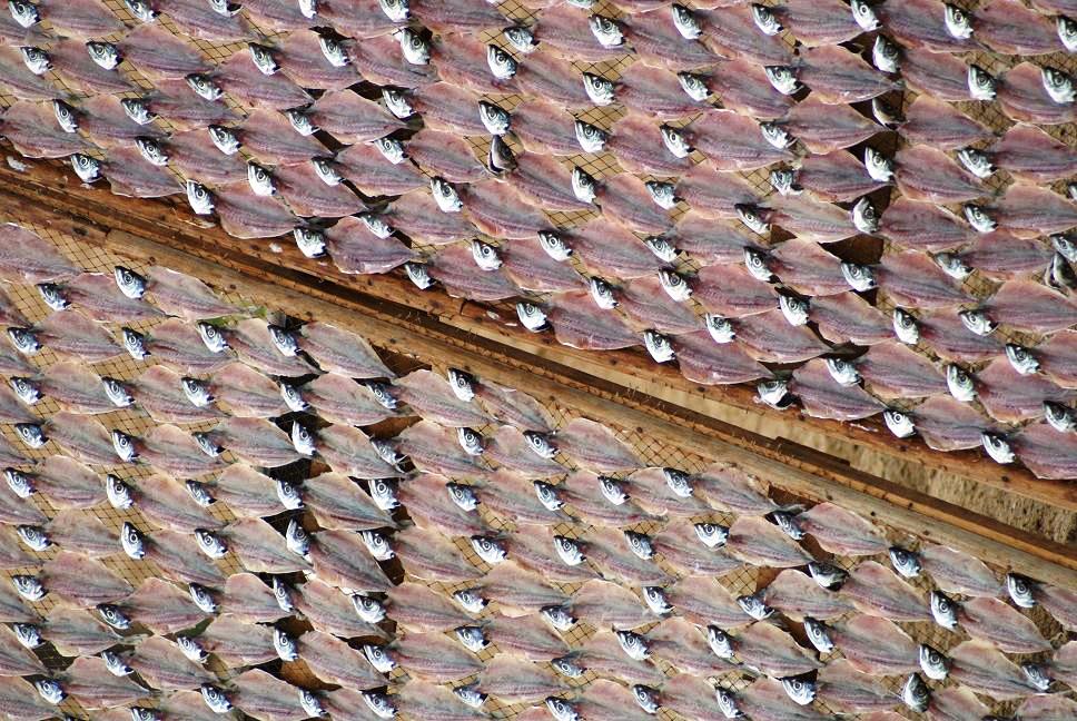 portugal drying fish