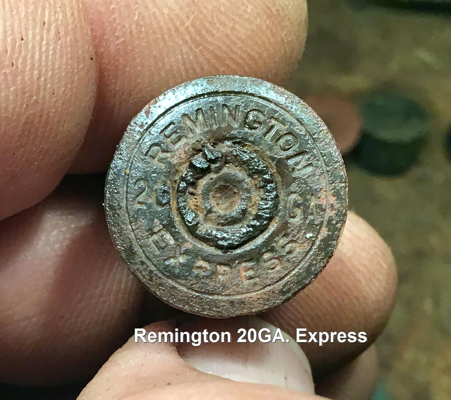 Remington 20GA. Express