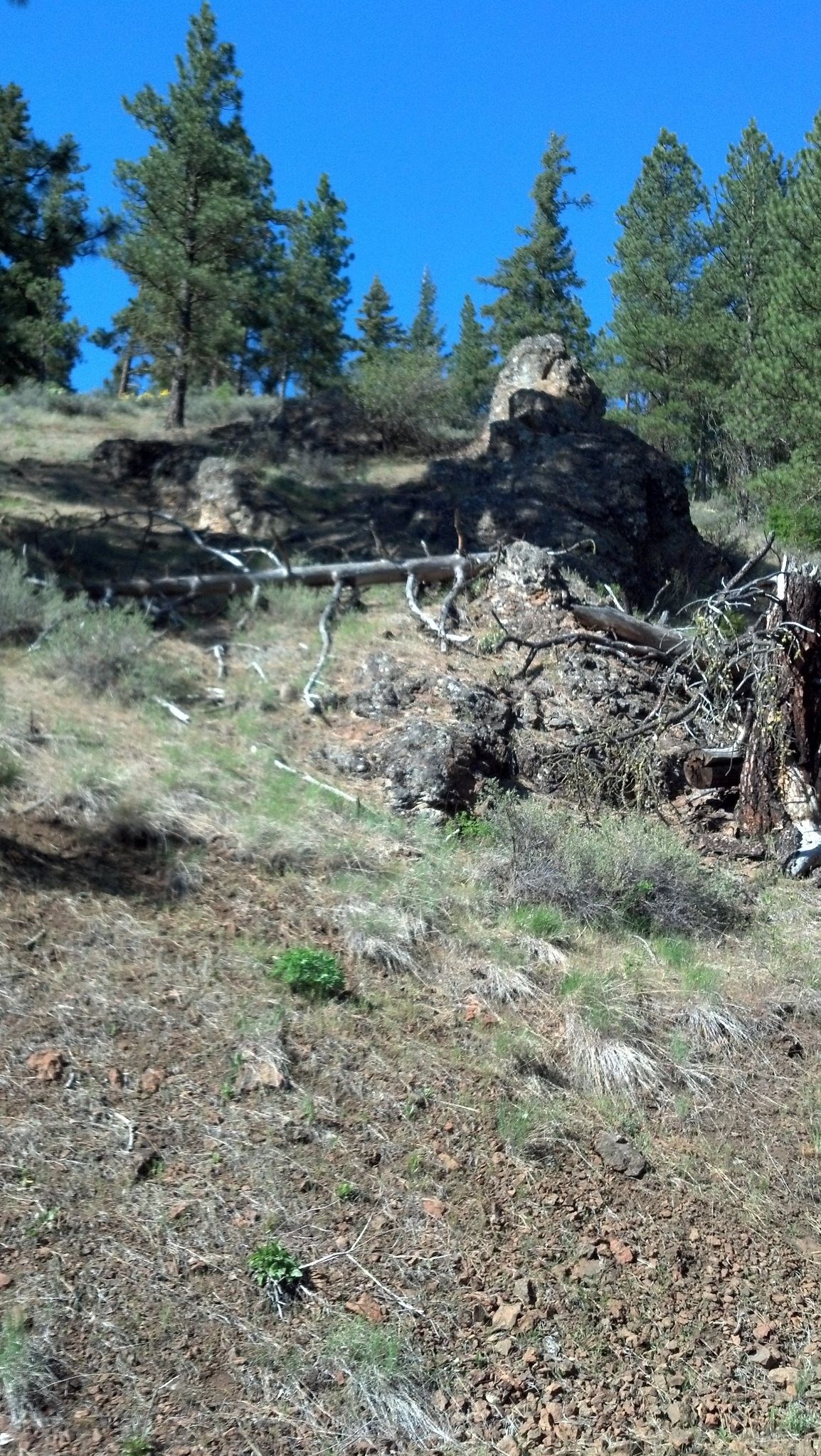 Right side up top. An intruded rock. Always worth check it out for mineralization.