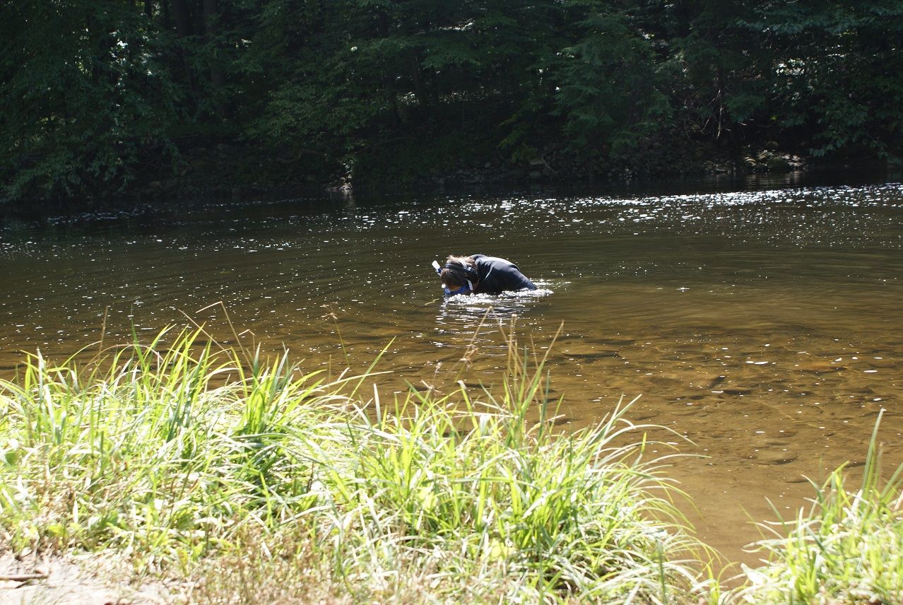 RIVER HUNTING