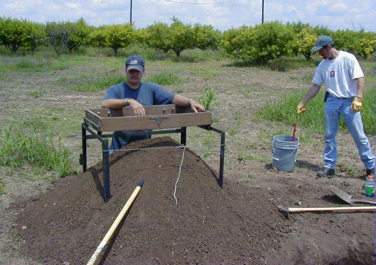 Sifting a peach orchard for artifacts.