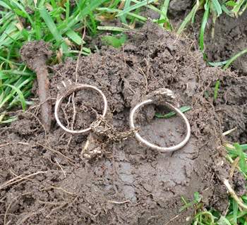 Silver & Gold in Same Hole - In my own backyard Oshawa, ON