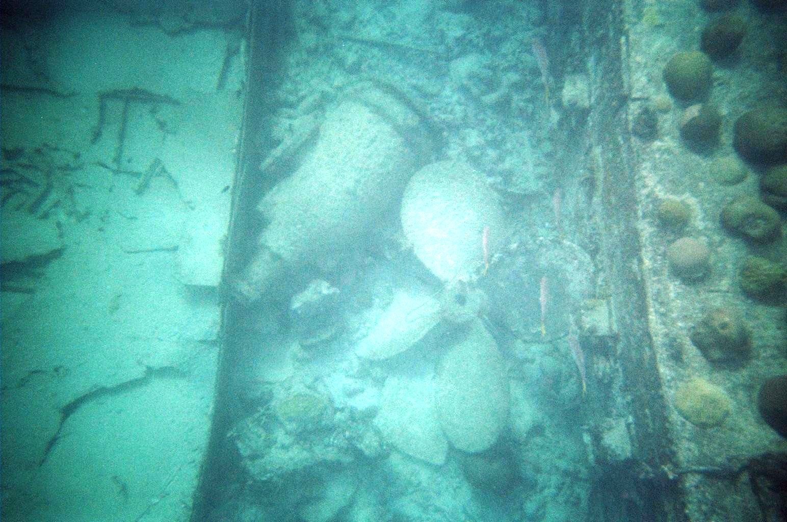 SNORKELING ON A WRECK IN BARBADOS