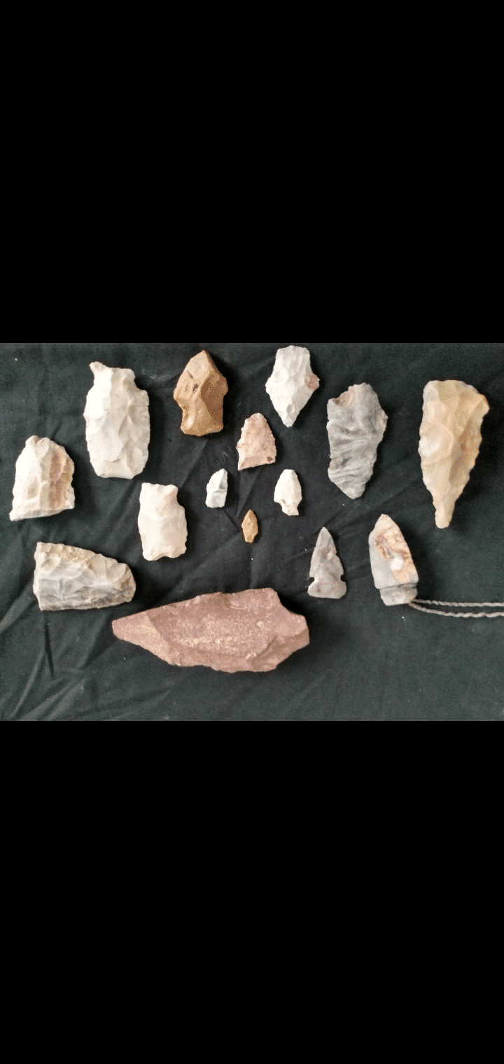 Some of the very nice finds of ours.