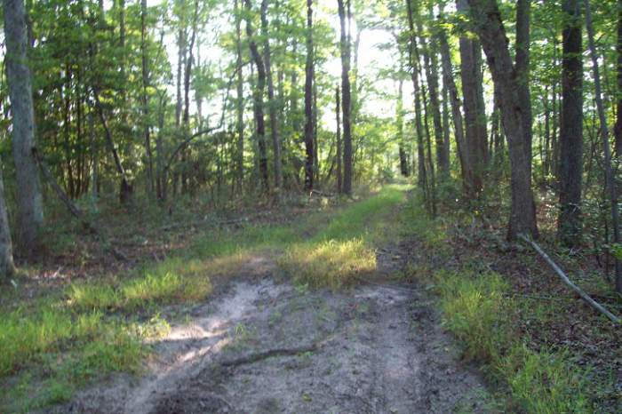Stage coach road  - South Jersey has plenty of old wagon trails to search